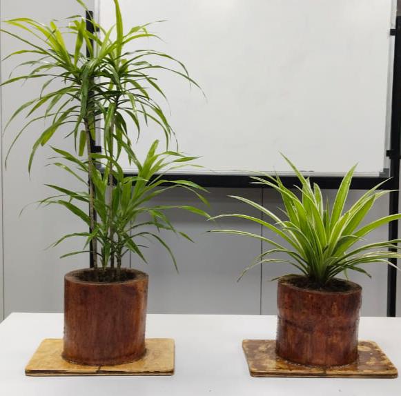 Eco-Friendly Flower Tub